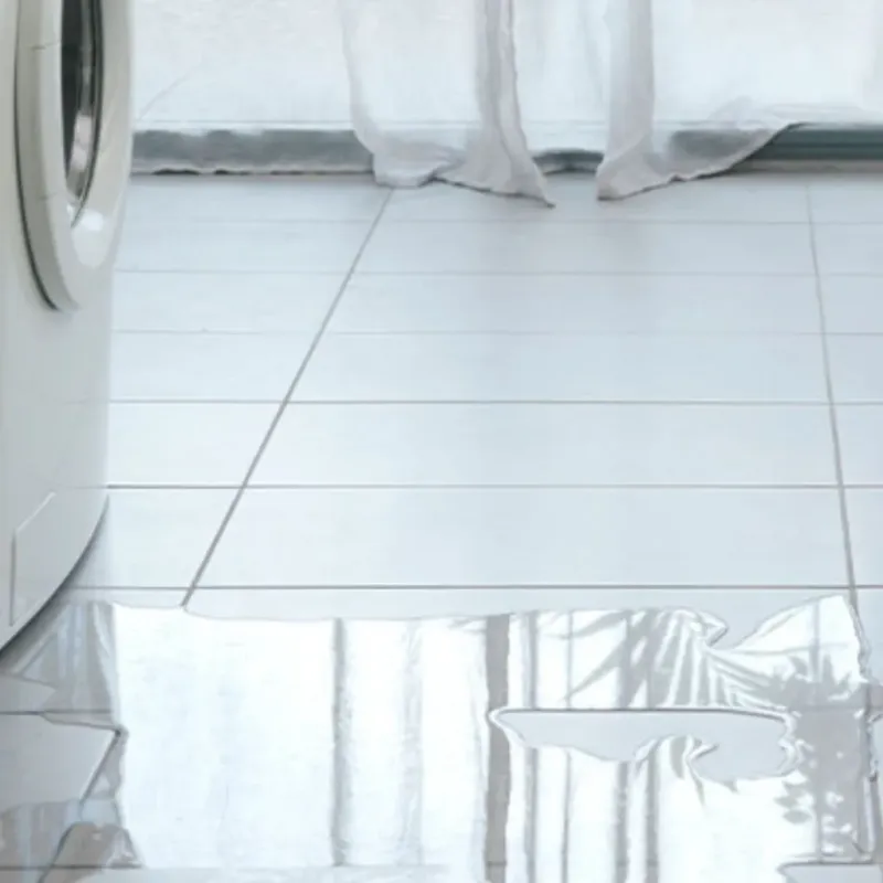 Appliance Leak Cleanup in Minneapolis, MN